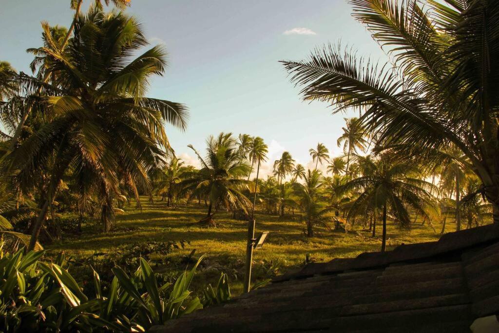 The Experience Sea Shore Praia De Muro Alto Porto De Galinhas Villa Exterior photo
